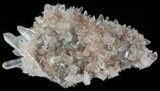 Himalayan Quartz Crystal Cluster #63046-1